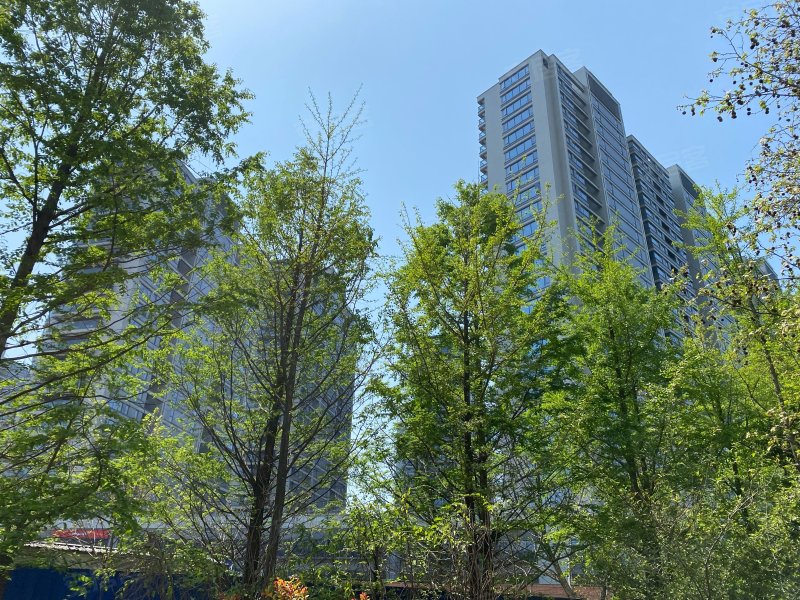 融创金成江南府(公寓住宅)