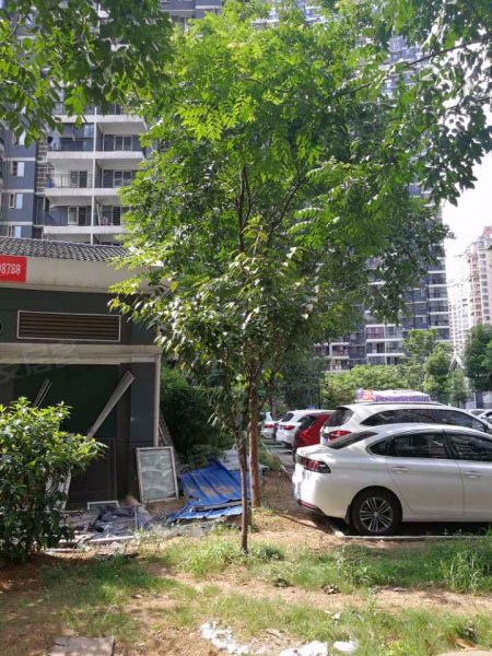 东沙花园(南区)