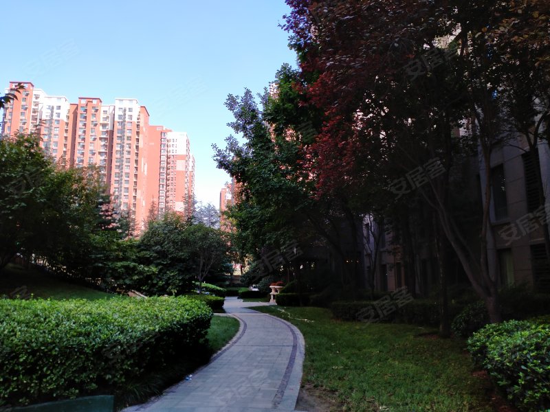 白桦林间,凤城九路,近明光路-西安白桦林间二手房,租房,房价-西安安居