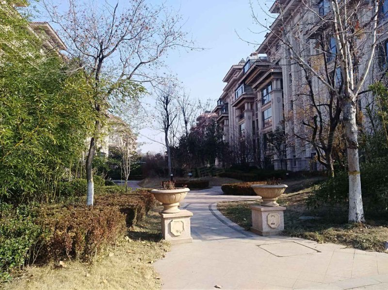 左岸绿洲领地,金海南路-潍坊左岸绿洲领地二手房,租房,房价-潍坊安居