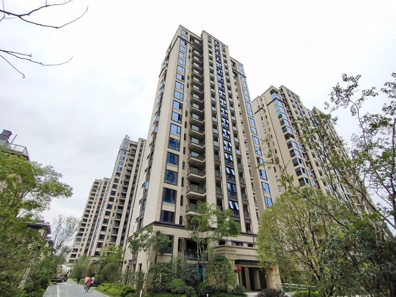 祥生湛景观棠府