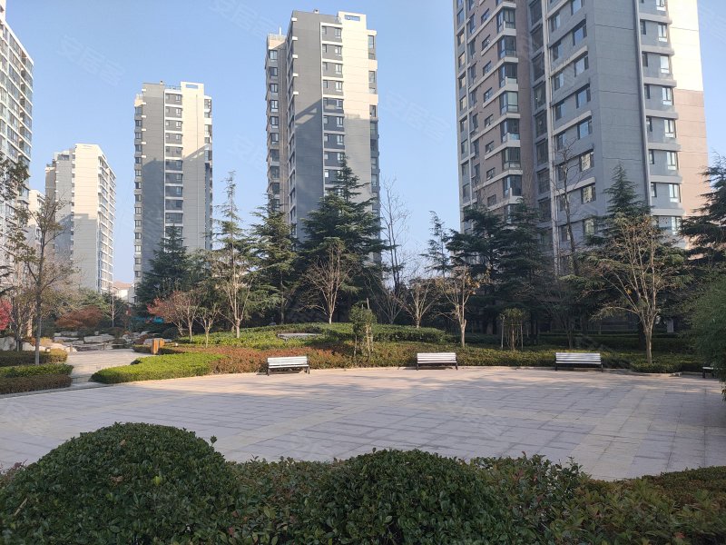 麦岛金岸,东海东路1号-青岛麦岛金岸二手房,租房,房价-青岛安居客