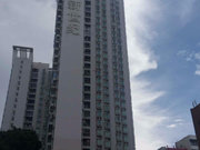 南山中心区小区图片