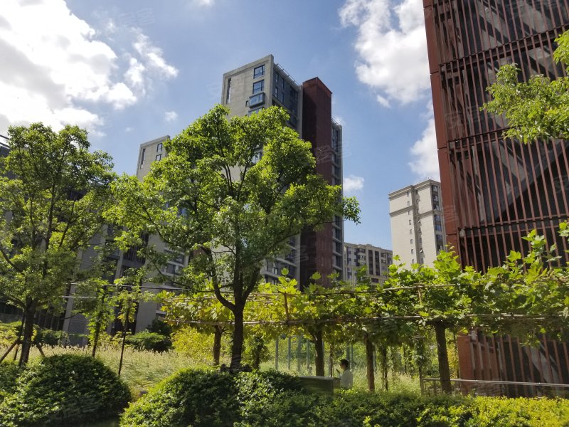 沁和园,丹巴路368弄-上海沁和园二手房,租房,房价-上海安居客