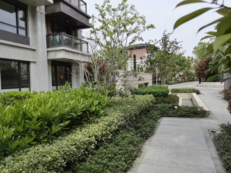 金鸡湖花园,环洲路-苏州金鸡湖花园二手房,租房,房价-苏州安居客