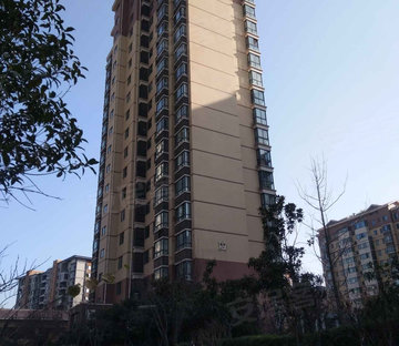 碧水西岸南湖1号