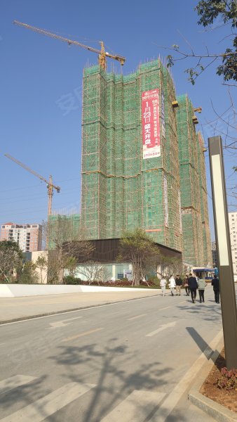 滨海明珠轩,海滨大道中120号-湛江滨海明珠轩二手房,租房,房价-湛江