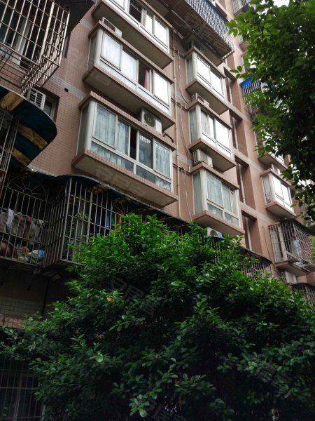 枇杷山正街社区,枇杷山正街,近中山二路-重庆枇杷山正街社区二手房