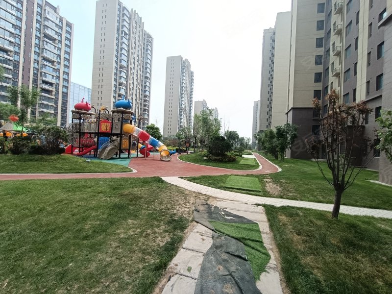 碧桂园天玺,会展路66号-东营碧桂园天玺二手房,租房,房价-东营安居客