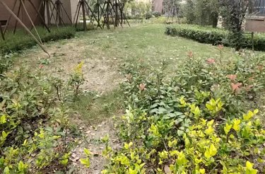 学前街88弄小区