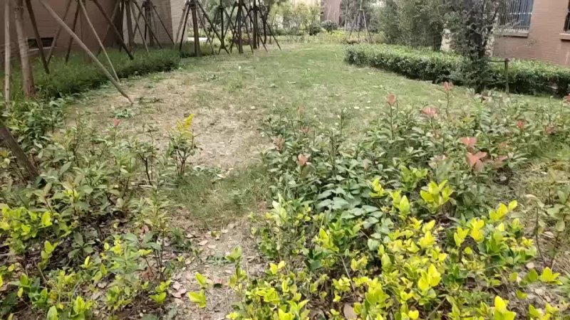 学前街88弄小区 