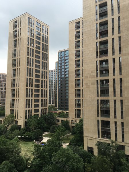 中天珺府(公寓住宅),科技大道2988号-杭州中天珺府(公寓住宅)二手房