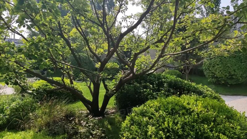 石榴玉兰湾,李七侯大街-廊坊石榴玉兰湾二手房,租房,房价-廊坊安居客