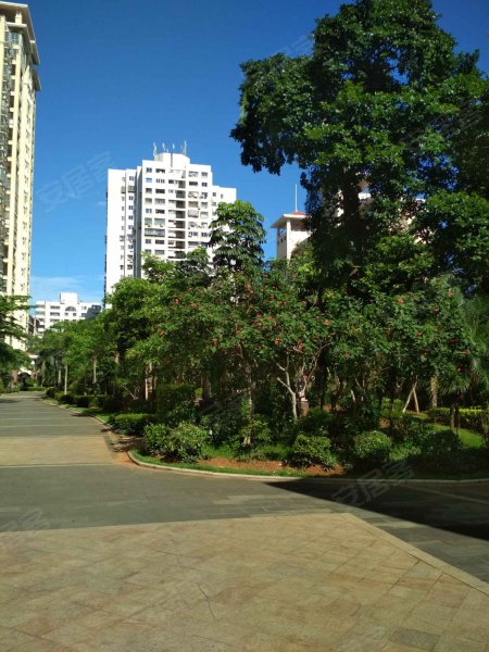 海岸郁金香花园,德利路11-6号-海口海岸郁金香花园二手房,租房,房价