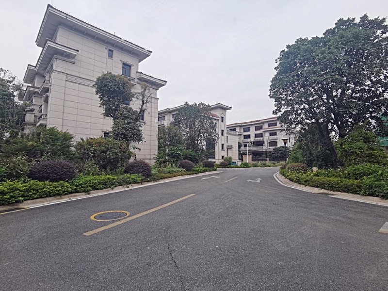 顺德碧桂园钻石郡