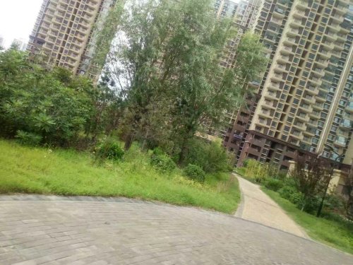 金桂小区,深圳大街68号 - 烟台金桂小区二手房,租房,房价-烟台安居客