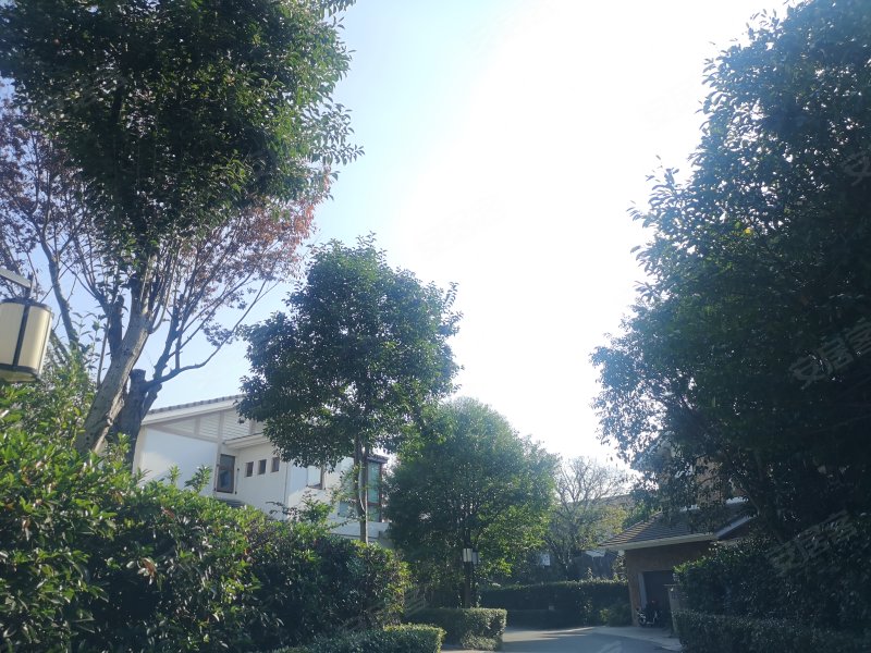 石湖之韵(别墅),圣陶路1号-苏州石湖之韵(别墅)二手房,租房,房价-苏州