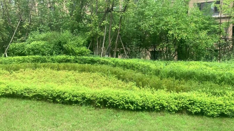 恒大华城东林苑 