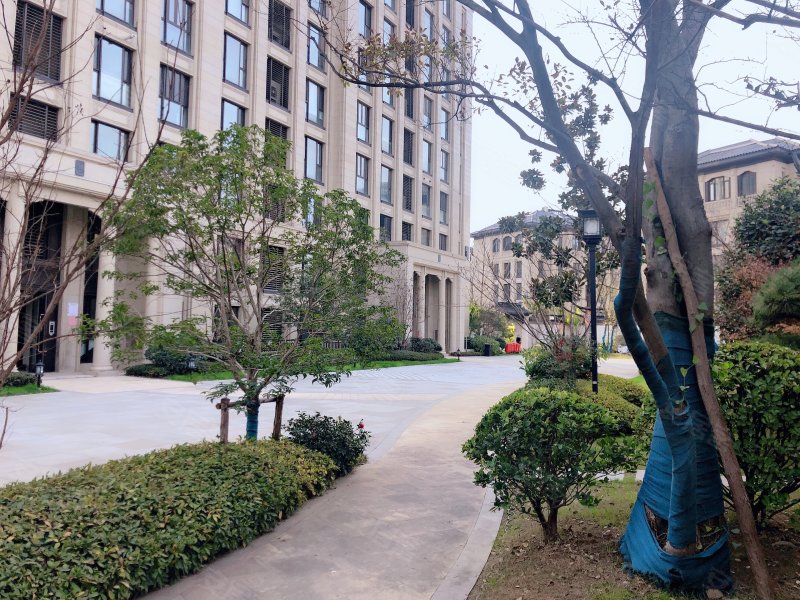 绿城紫薇公馆,金山南路-徐州绿城紫薇公馆二手房,租房,房价-徐州安居