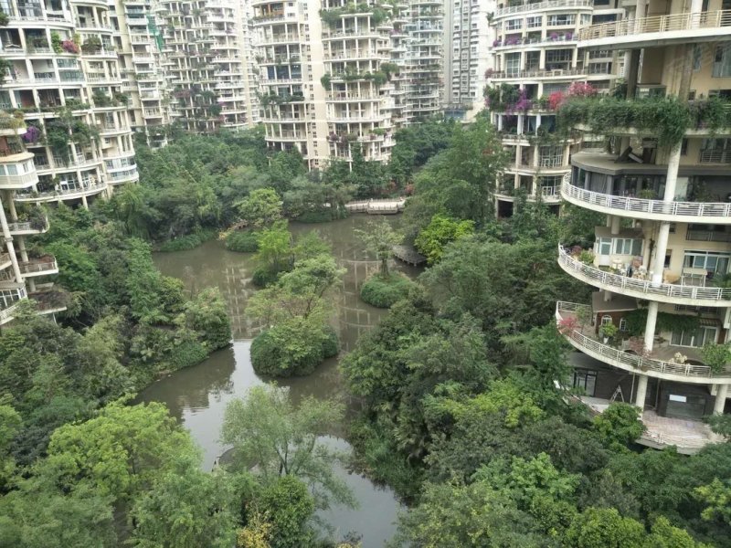 天鹅湖北苑,世纪城路996号-成都天鹅湖北苑二手房,租房,房价-成都安居