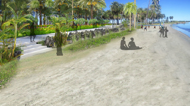 斐济约¥312万棕榈滩庄园的地段在美丽的威洛阿洛亚海滩只是等着你！二手房土地图片