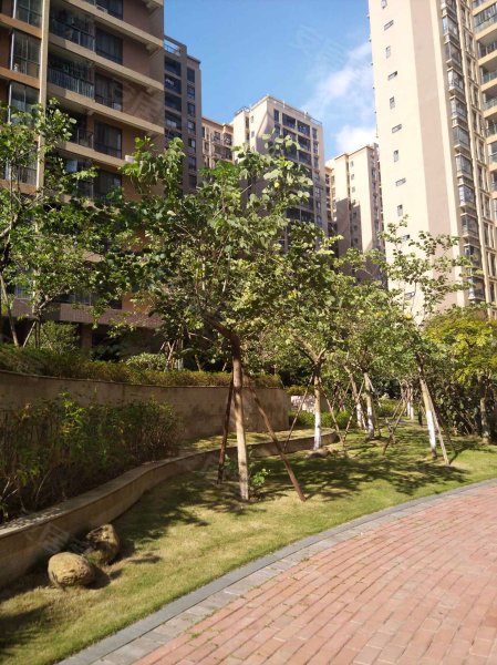 香樟林,望州南路188号-南宁香樟林二手房,租房,房价-南宁安居客