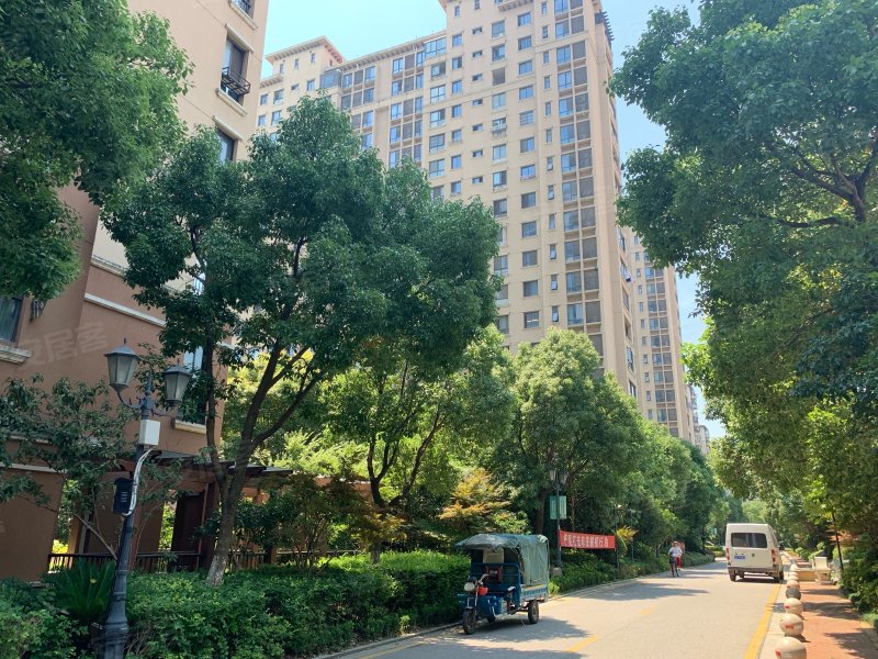 中信森林湖棕榈园