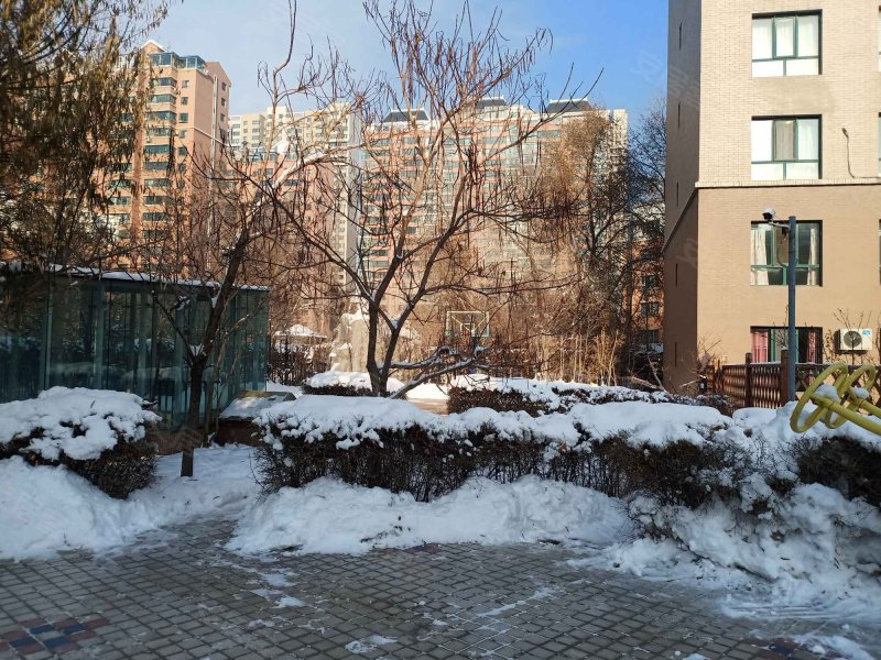 美林花园,苏州西街南一巷166号-乌鲁木齐美林花园二手房,租房,房价
