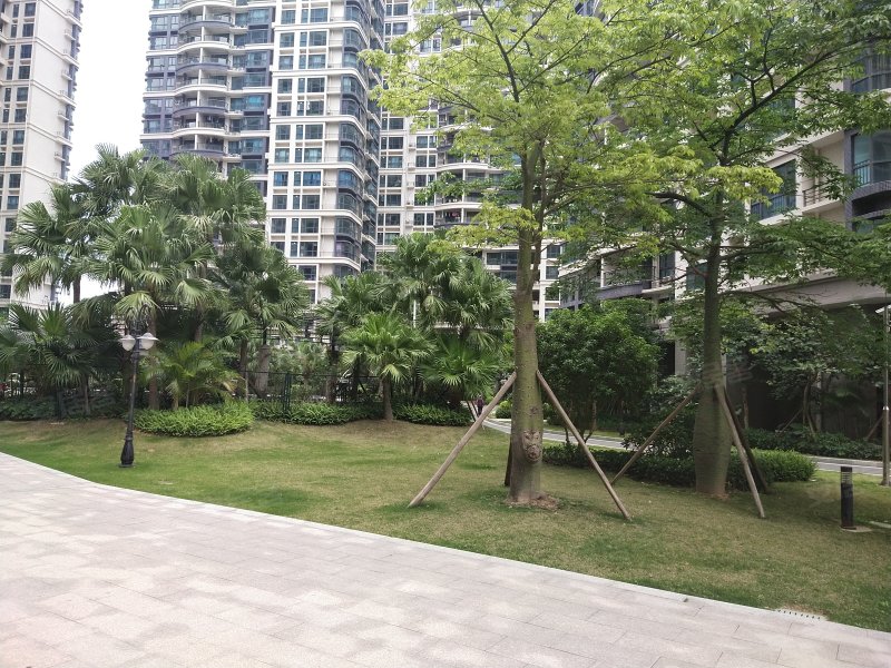 碧桂园维港湾花园