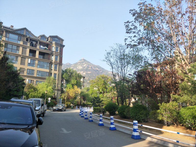 国山墅(别墅),东岳大街