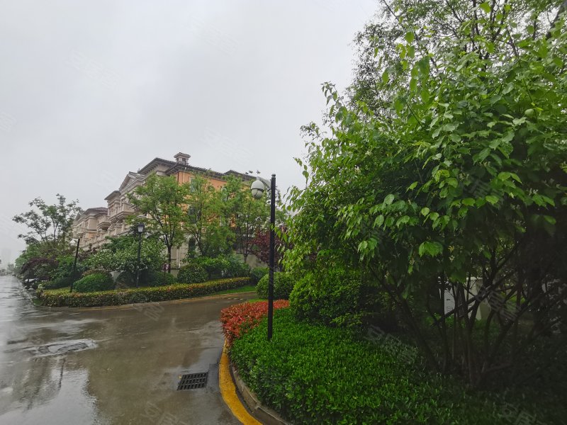 瑞马意墅(别墅),任兴路,近琵琶山路-济宁瑞马意墅(别墅)二手房,租房