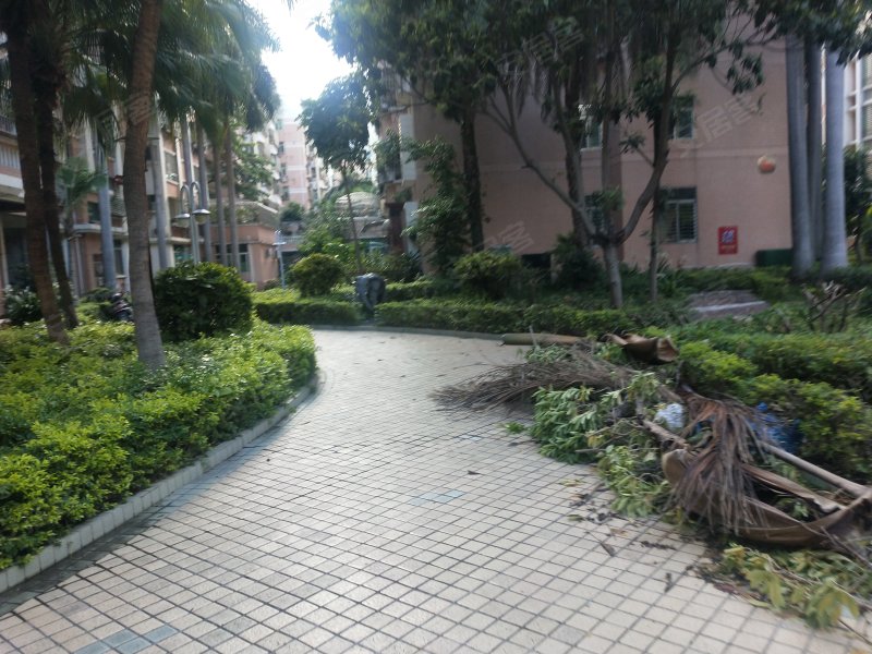 金禧花园金杉苑
