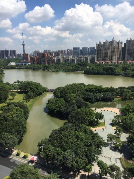 佛山雅居乐花园(b区),绿景三路-佛山佛山雅居乐花园(b区)二手房,租房