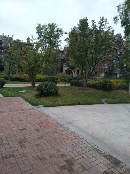 半山国际花园(一期东区)