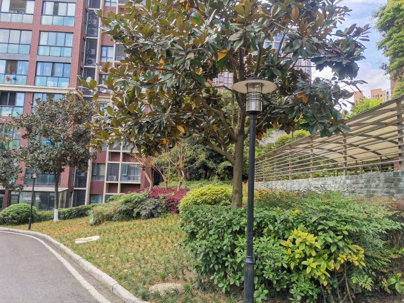 田森奥林春天(二期)