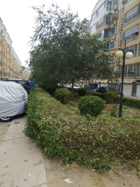 御景名门,问津北街-衡水御景名门二手房,租房,房价-衡水安居客