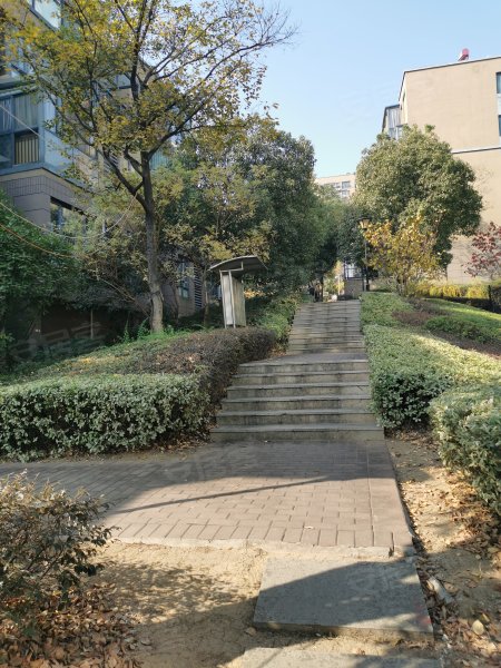 东郊小镇第八街区