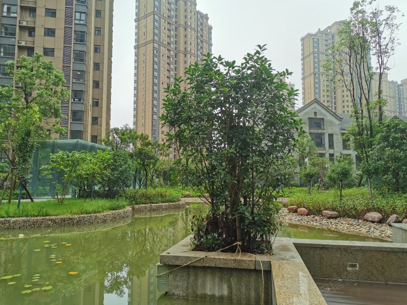 东方今典中央城c区,新十一大道-信阳东方今典中央城c区二手房,租房