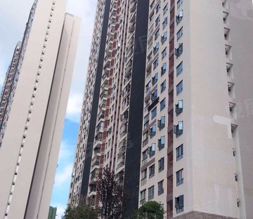 中天渔安新城D组团