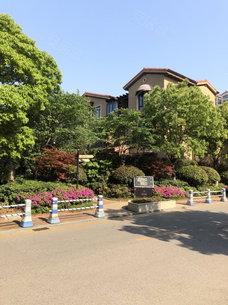 中信森林湖棕榈园