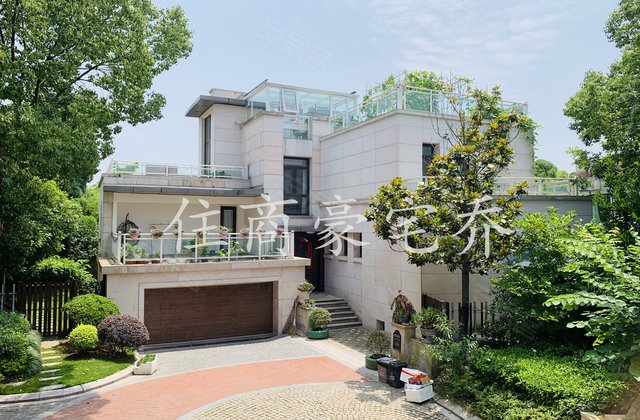 大华西郊别墅4室3厅522㎡2500万二手房图片