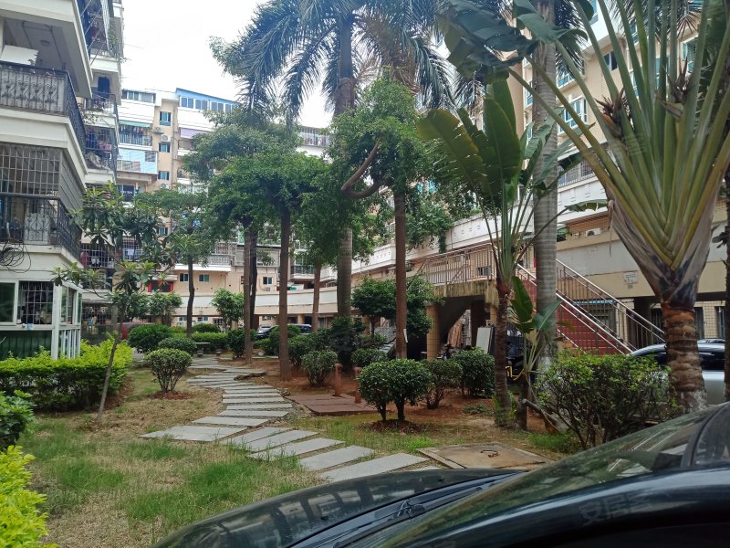 龙腾花园二期,悦华路217-247号-厦门龙腾花园二期二手房,租房,房价