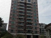 聚龙湾花园满五双卫格局有电梯医疗配套成熟