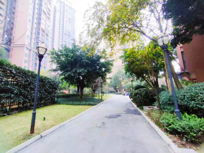 洛森堡映山,麓山大道680号,麓山大道一段630号-成都洛森堡映山二手房