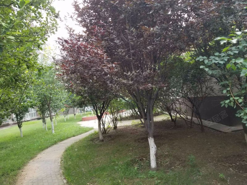 绿洲家园(丰台),大瓦窑中路5号-北京绿洲家园(丰台)二手房,租房,房价