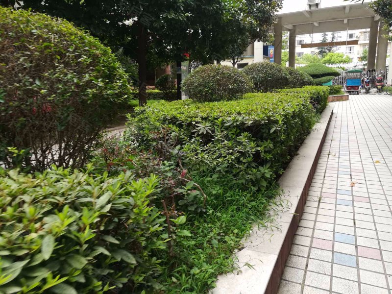 汇龙花园,正义路30附2-3号-武汉汇龙花园二手房,租房,房价-武汉安居客