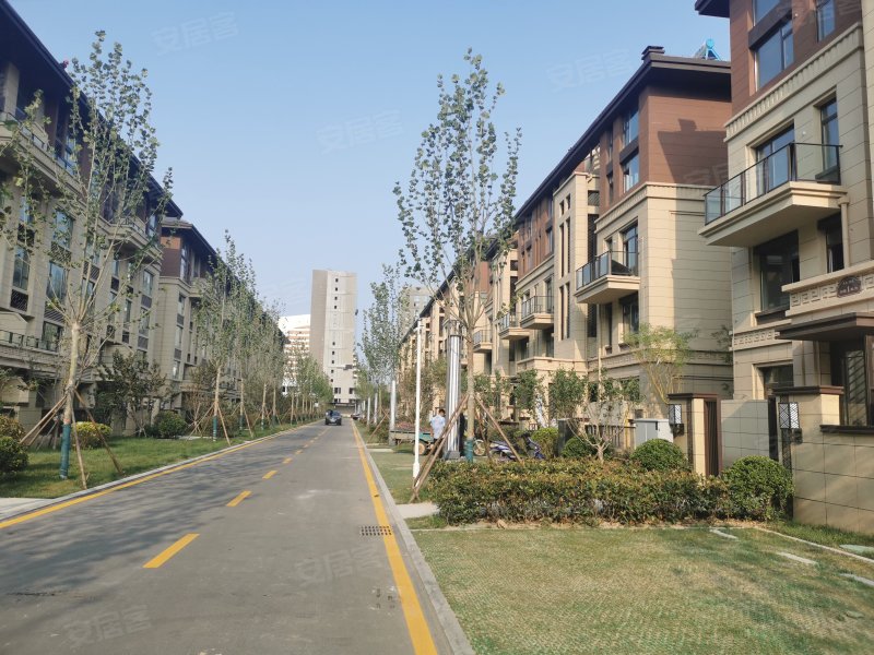 东凯悦府,南一路-东营东凯悦府二手房,租房,房价-东营安居客