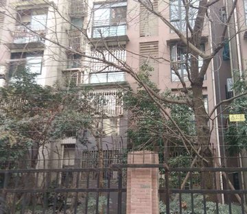 棠湖泊林镇 南北通透 环境优美 满五   居住密度低