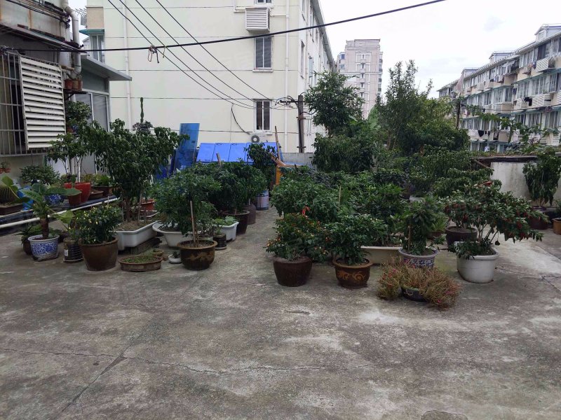 东方路3721弄小区 