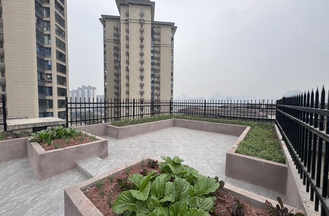 保利仁里5室4厅300㎡348万二手房图片